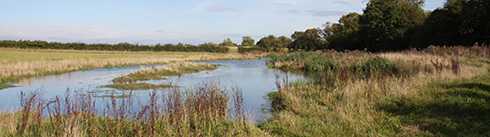 perry-centre-wetlands-1