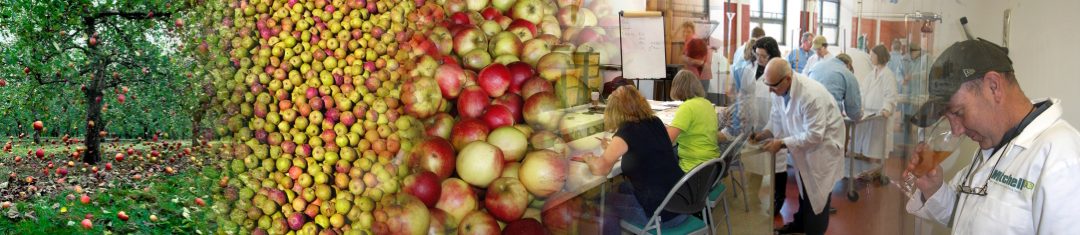 Cider & Perry production courses